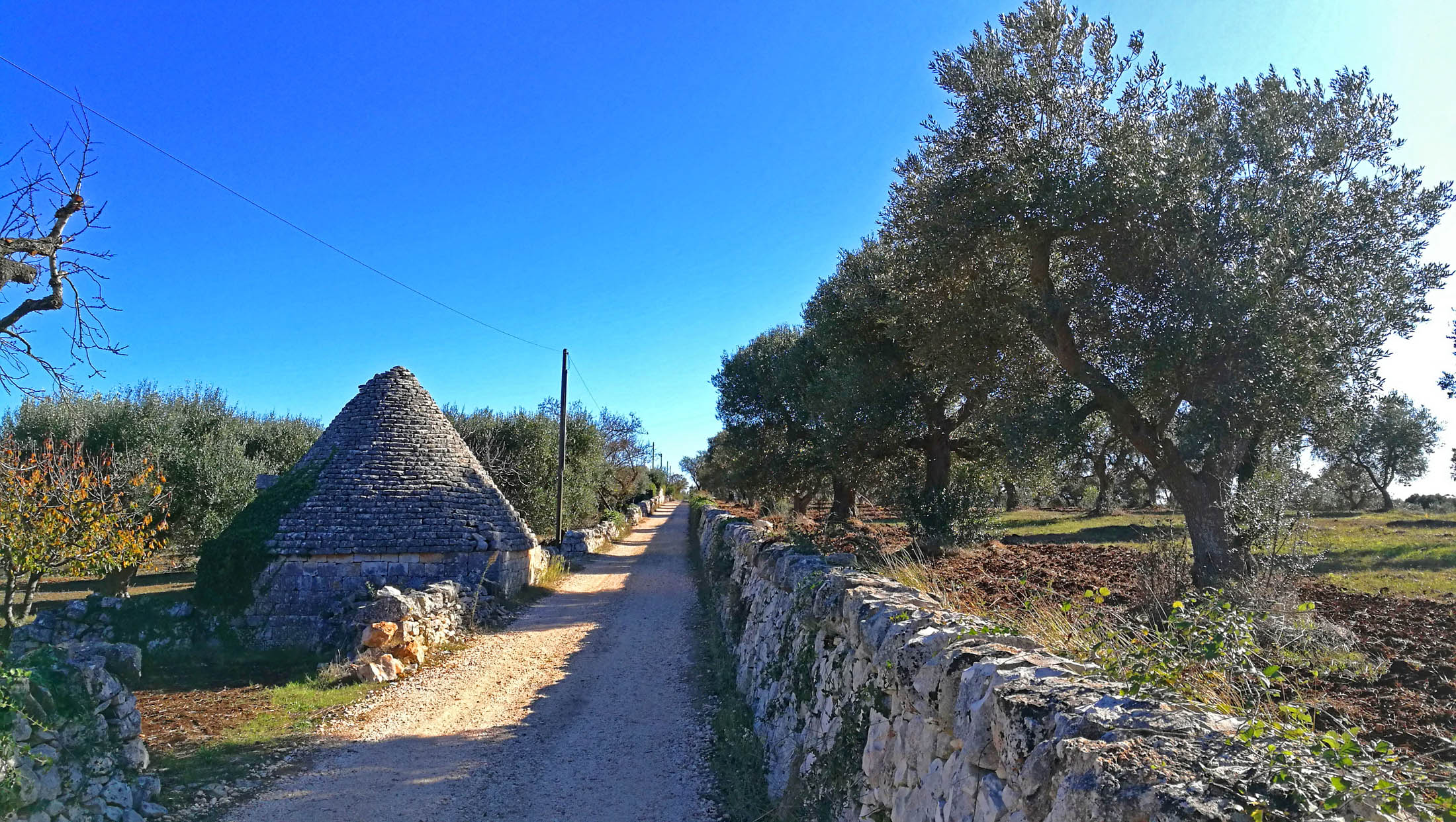 EXPERIENCE CENTRAL APULIA BY BICYCLE